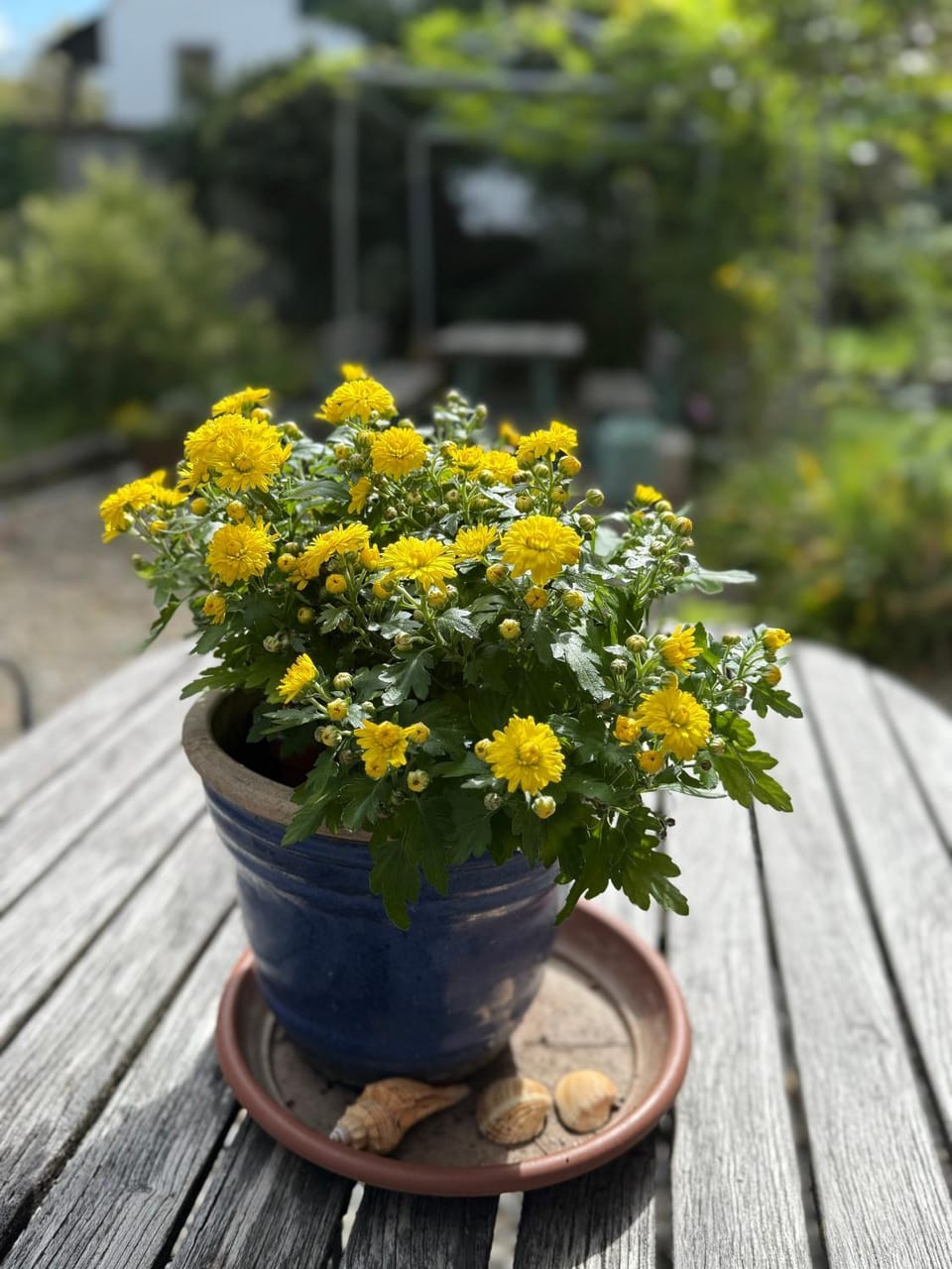 Gästehaus Sonne Bed and Breakfast in Canton of Bern (Region)