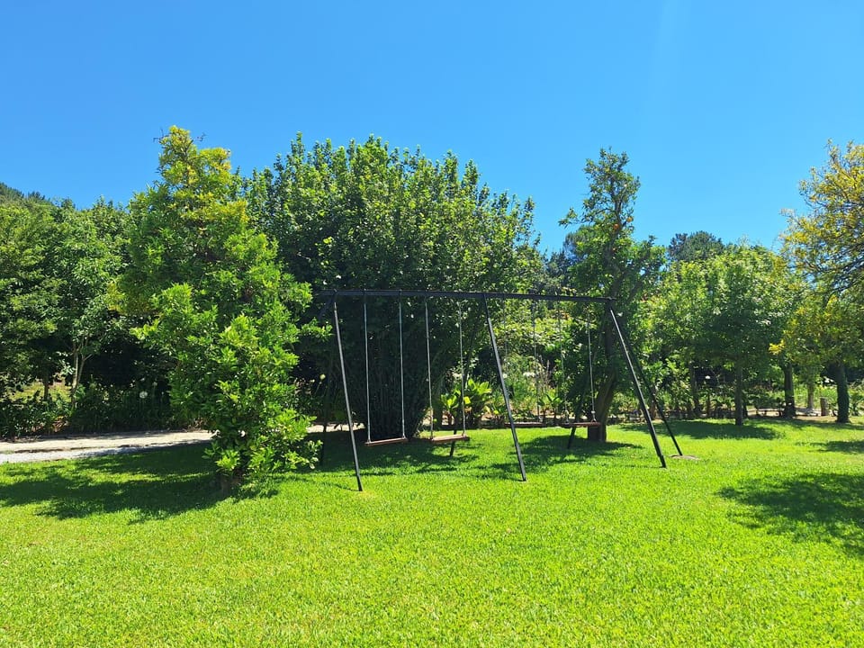 Spring, Day, Natural landscape, Garden, Garden view