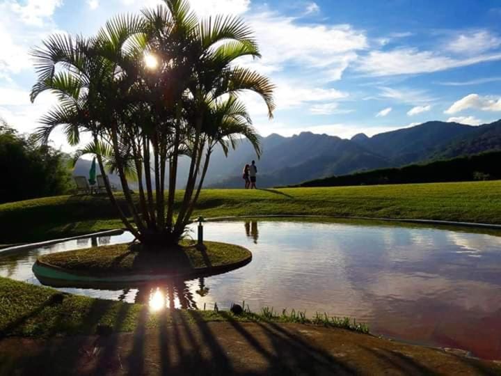 Natural landscape, Pool view