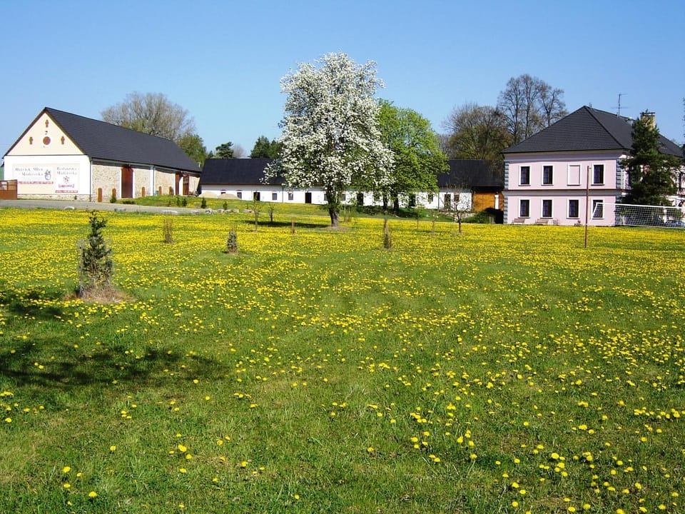 Hotel Castle Mlýn Maděrovka Hotel in South Bohemian Region
