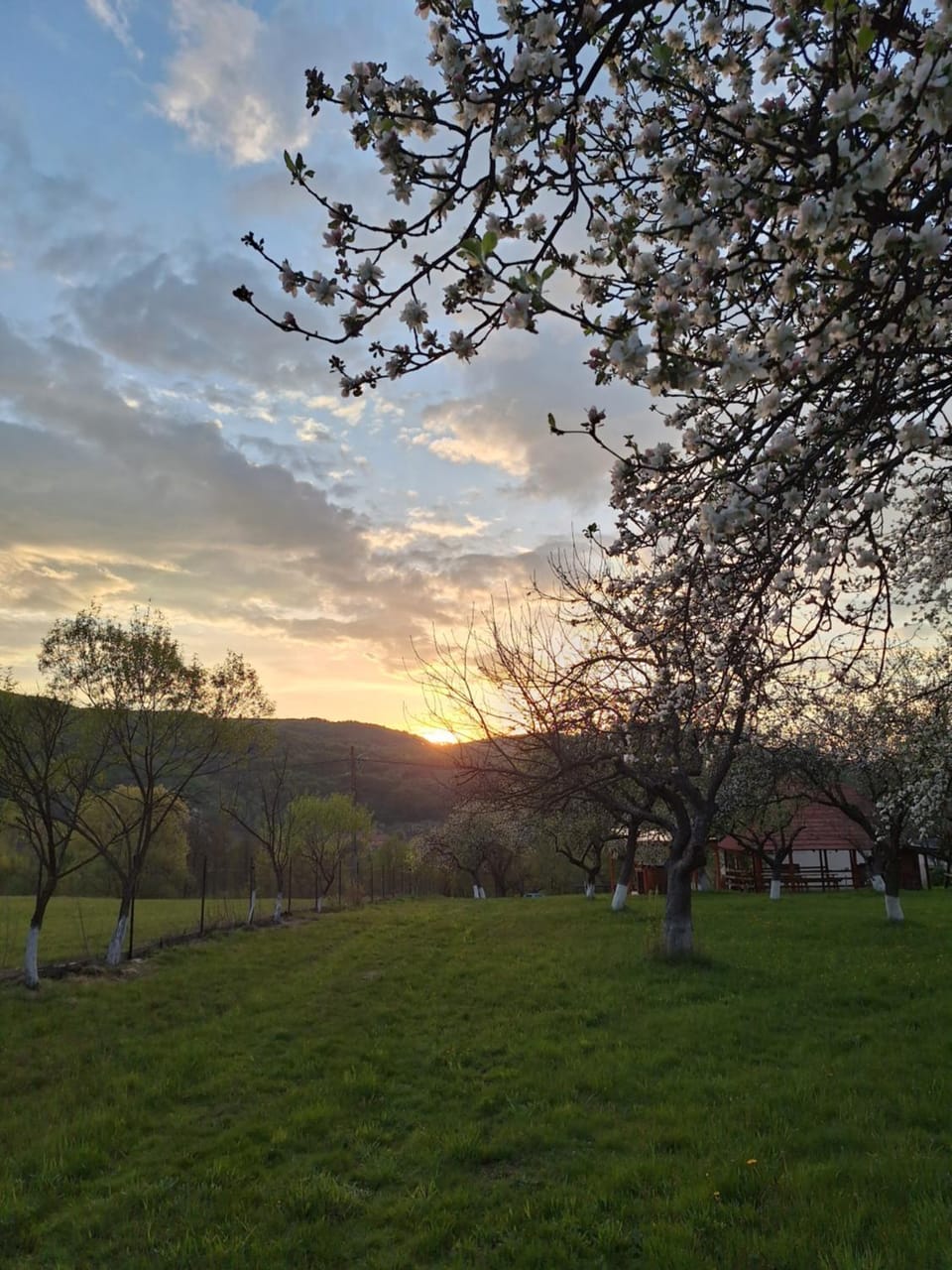 Pensiunea Agroturistica Ica Bed and Breakfast in Cluj County