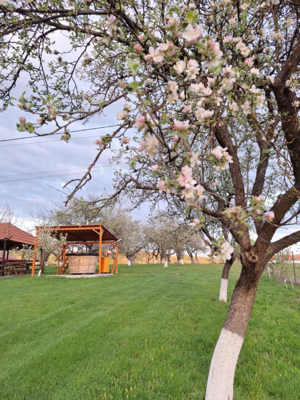 Pensiunea Agroturistica Ica Bed and Breakfast in Cluj County