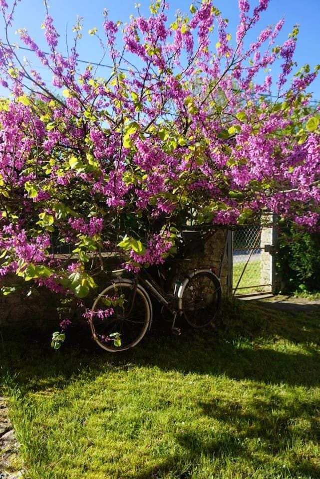 Spring, Garden, Garden view