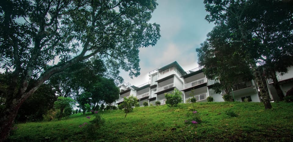 Property building, Garden view