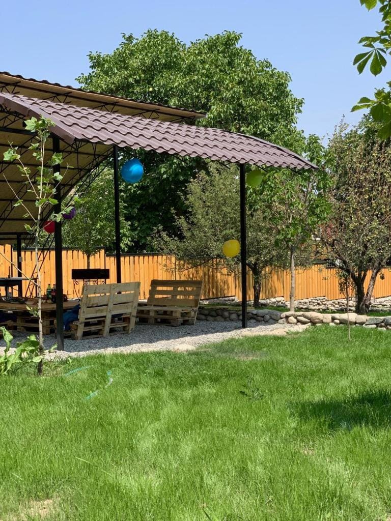 Patio, Garden