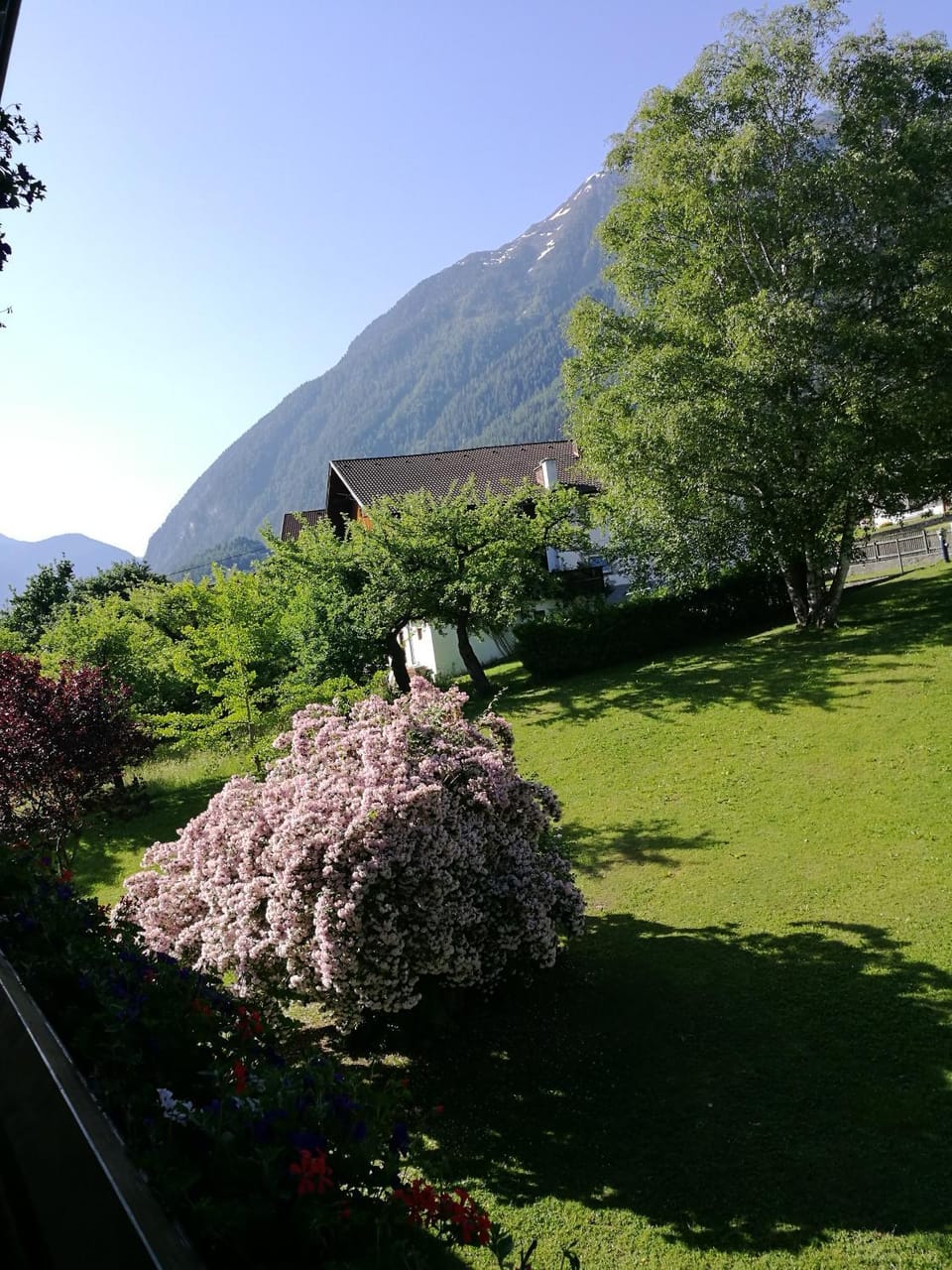 Gästepension Wiesenheim Bed and Breakfast in Tyrol