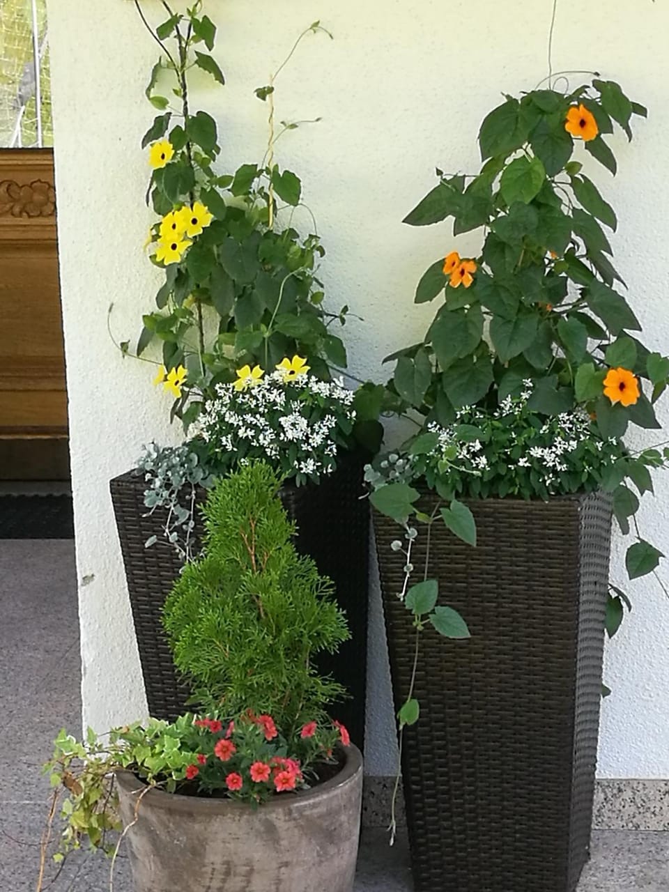 Gästepension Wiesenheim Bed and Breakfast in Tyrol