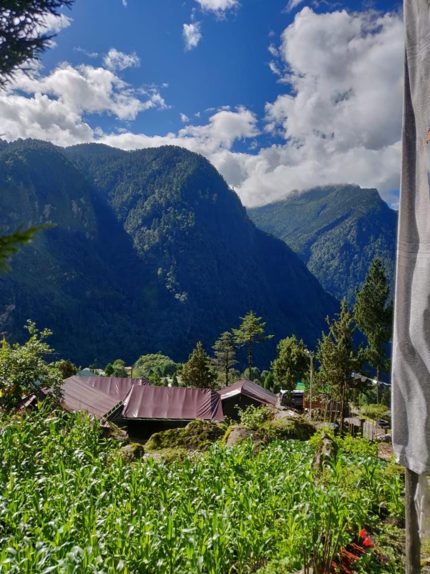Ourguest Camp Lachung Luxury tent in India