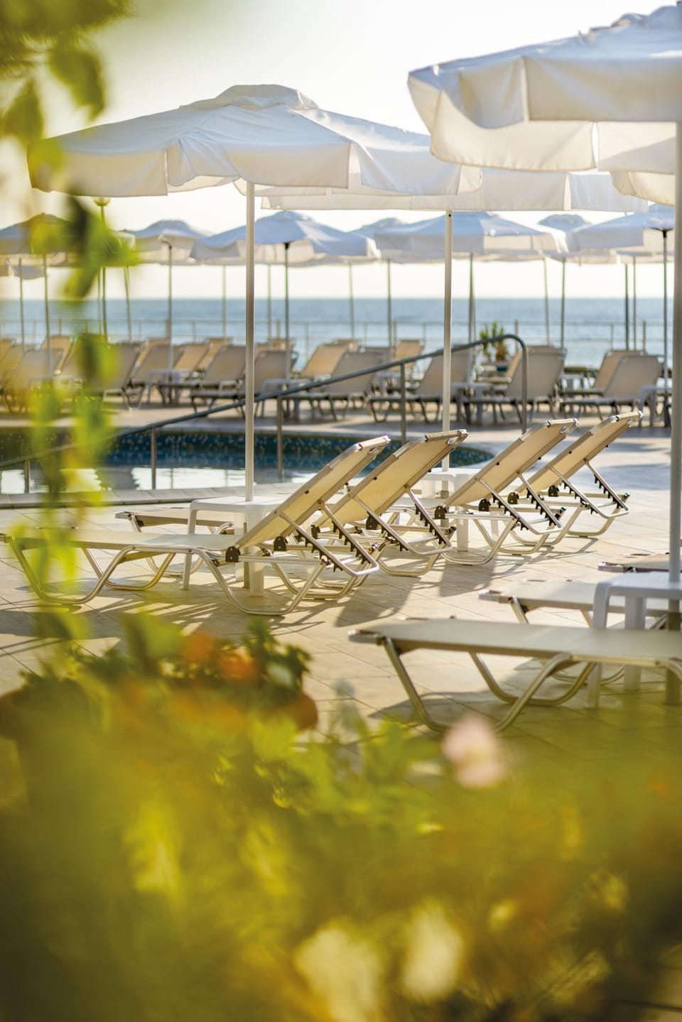 Day, Pool view, Swimming pool, sunbed