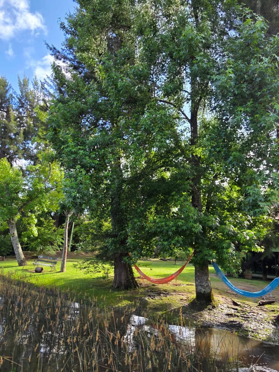Natural landscape, Garden, River view