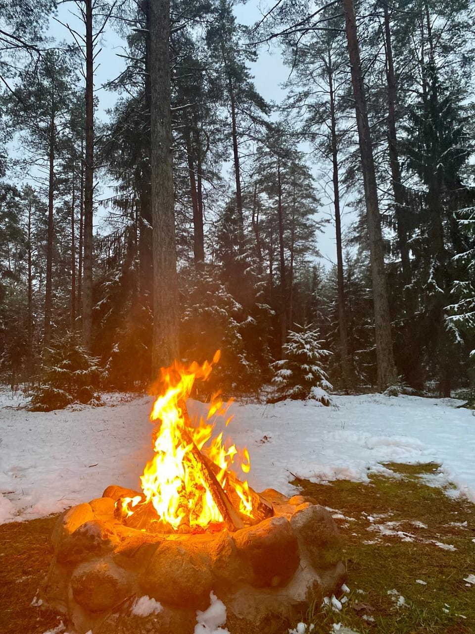 Rojaus Slenis House in Lithuania