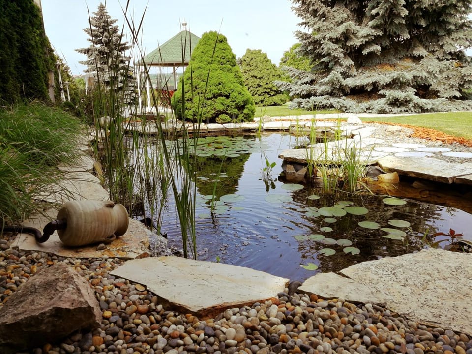 Elisoria Apartments Bed and Breakfast in Hungary