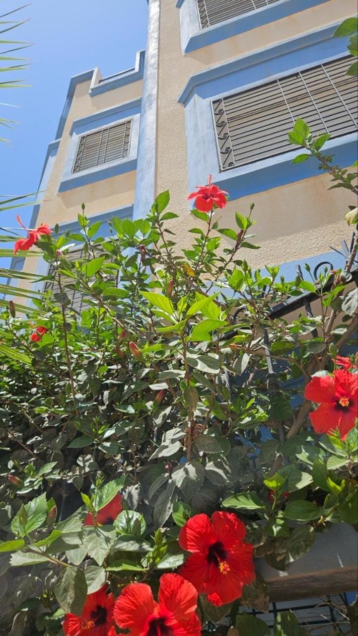 Chez ysa Apartment in Morocco