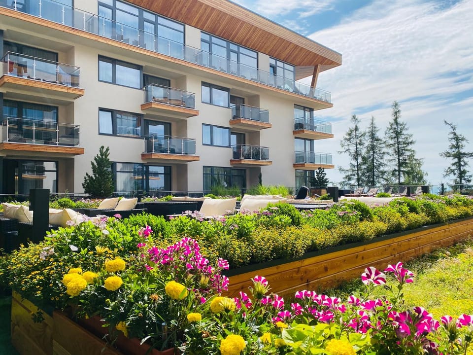 Garden view