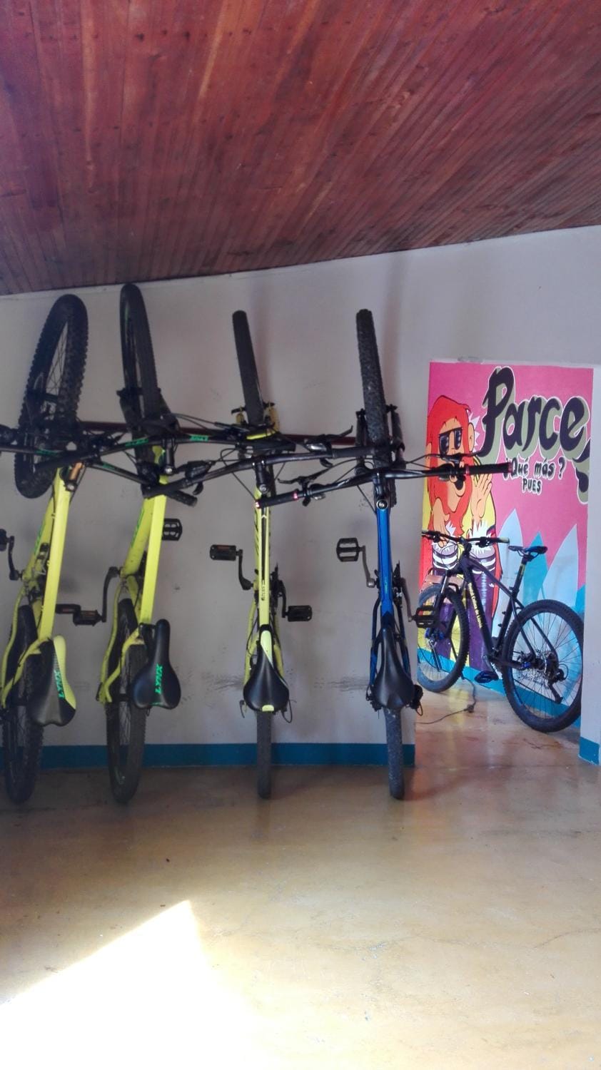 Other, Cycling