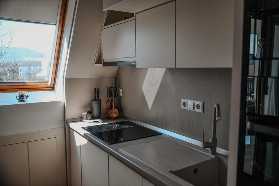 Kitchen or kitchenette, dishwasher, stove