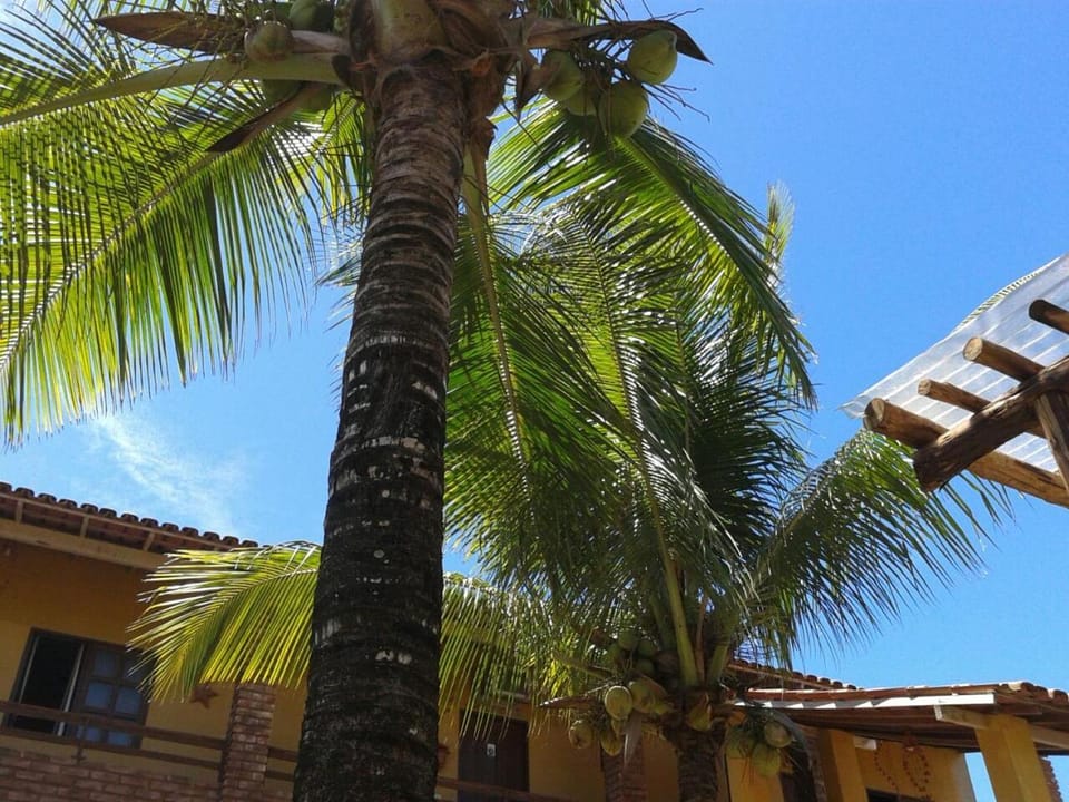 Pousada Água de Côco Inn in State of Bahia