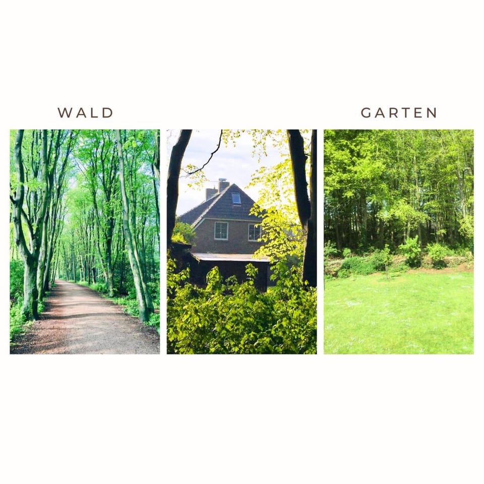 Garden, Garden view