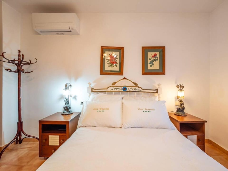 Casa&Spa Don Gonzalo House in Castile-La Mancha