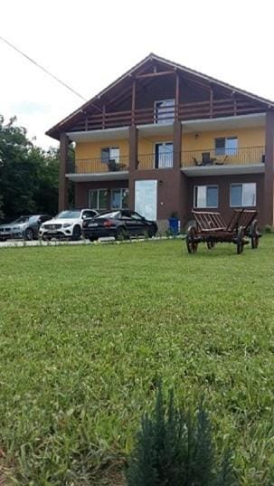 Pensiunea Alex & Andry Bed and Breakfast in Dolj County, Romania