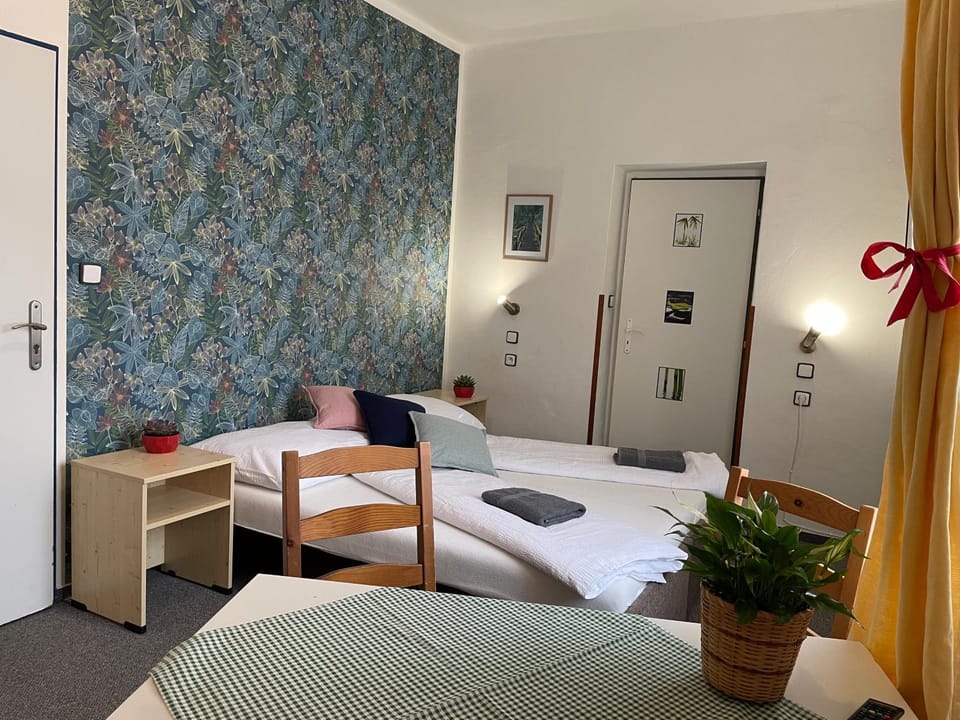Bed, Area and facilities