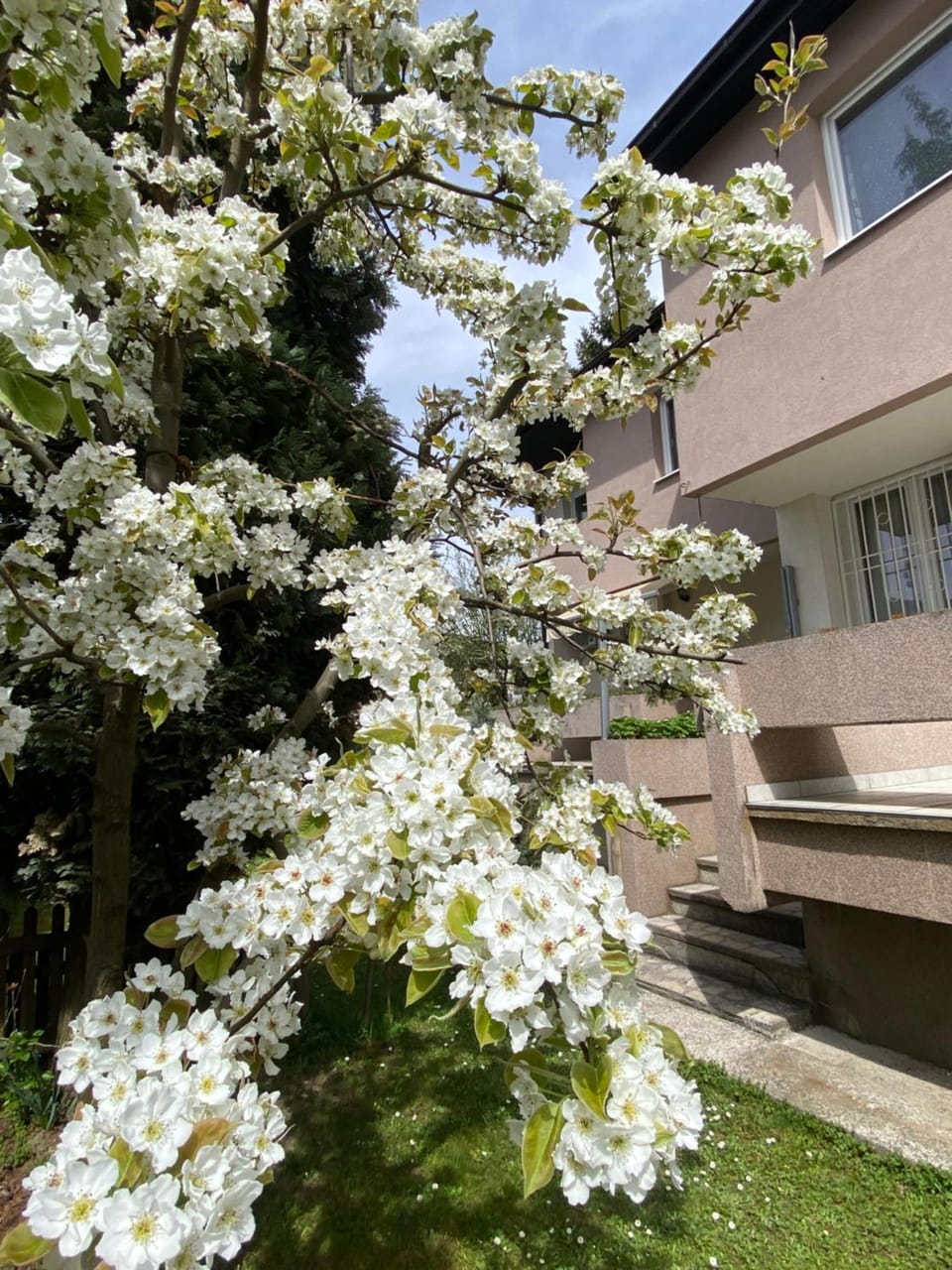 Holiday Home Ilidza Rose House in Sarajevo