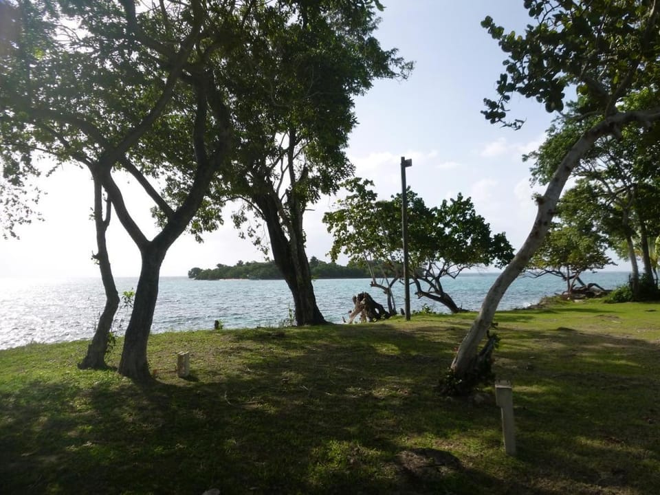 Natural landscape, Garden, Sea view