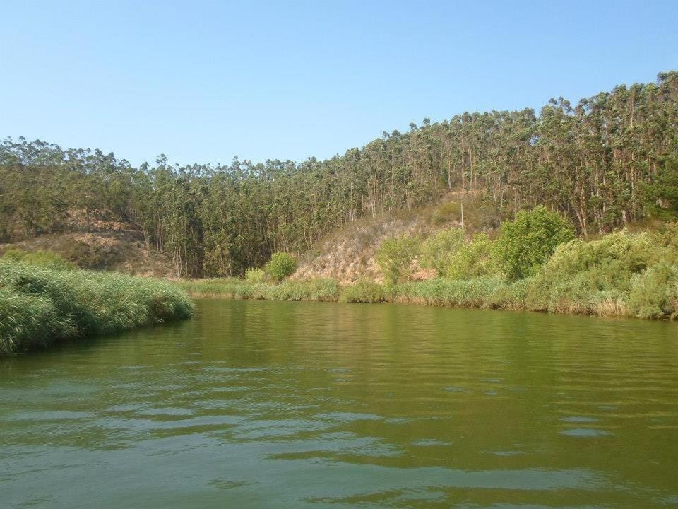 Natural landscape