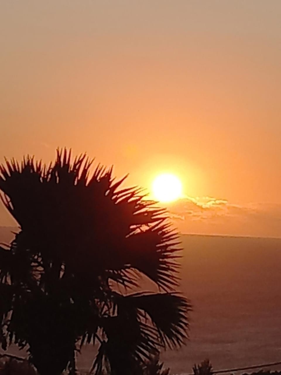 La case à coco House in Réunion