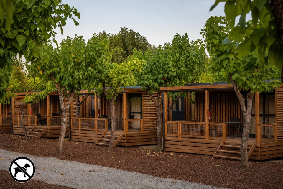 Property building, Natural landscape, Garden