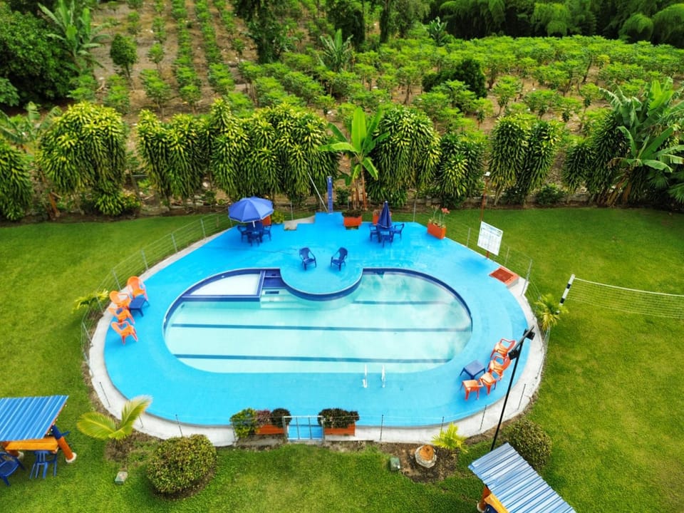 Finca hotel los cocos Hotel in Quindio, Colombia