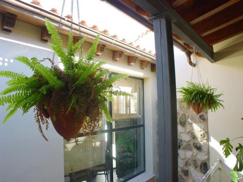 Decorative detail