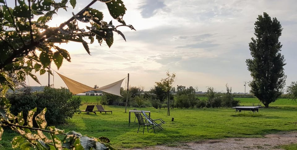 Natural landscape, Garden, View (from property/room), Garden view