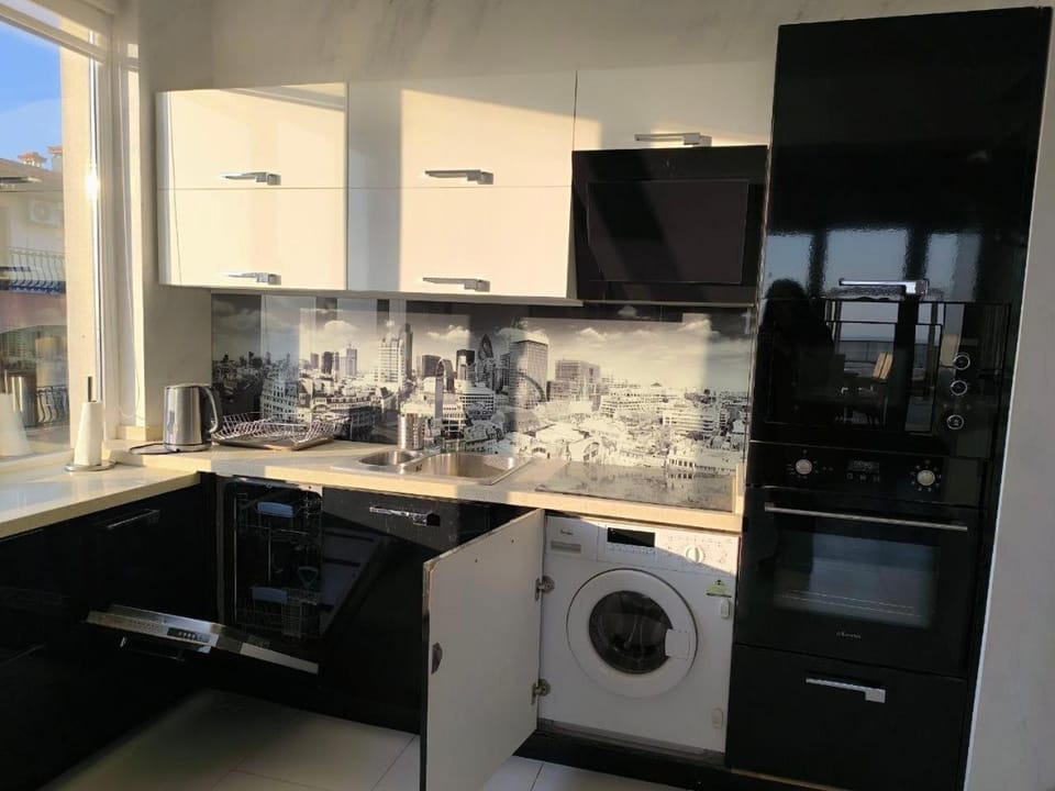 Kitchen or kitchenette, dishwasher
