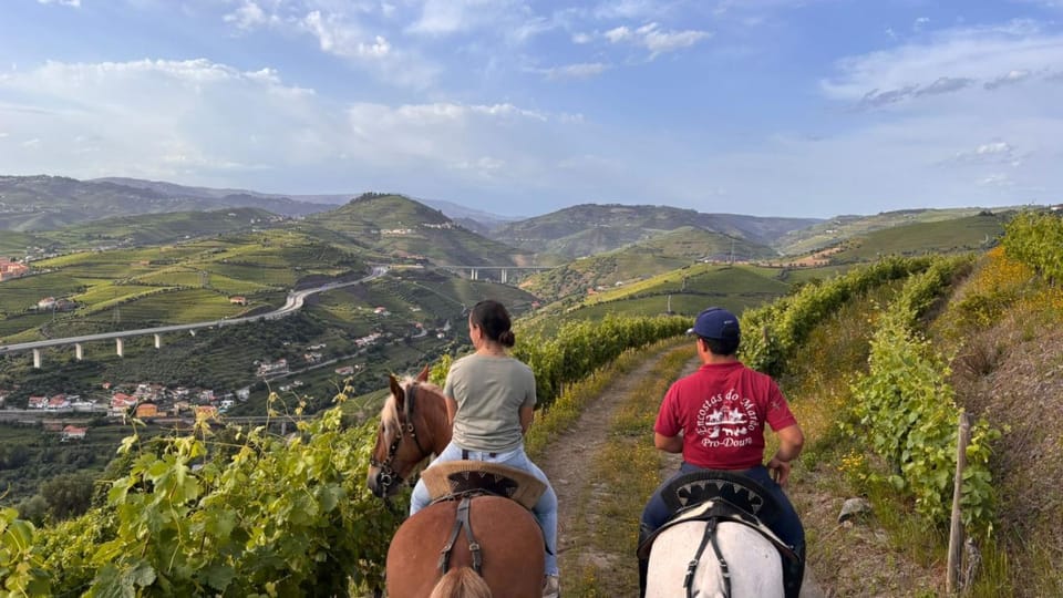 Activities, Activities, Horse-riding, Horse-riding