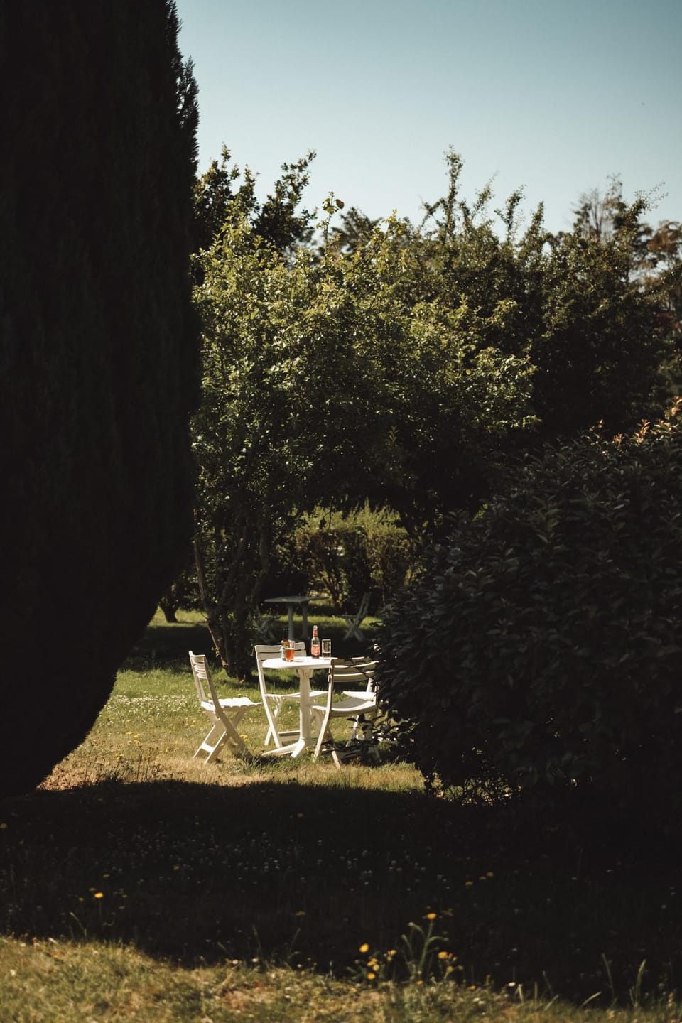 Natural landscape, Garden, Garden view
