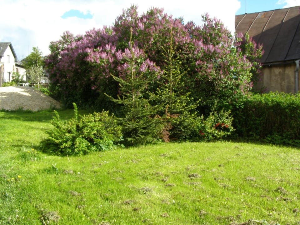 Garden, Garden view