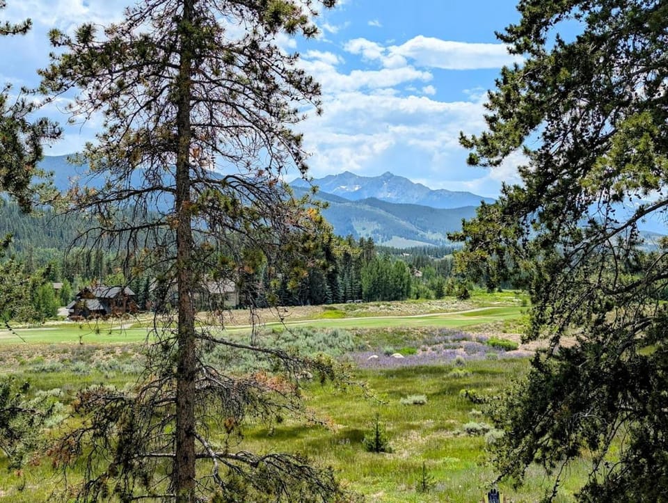 Pines 2169 by SummitCove Lodging House in Keystone