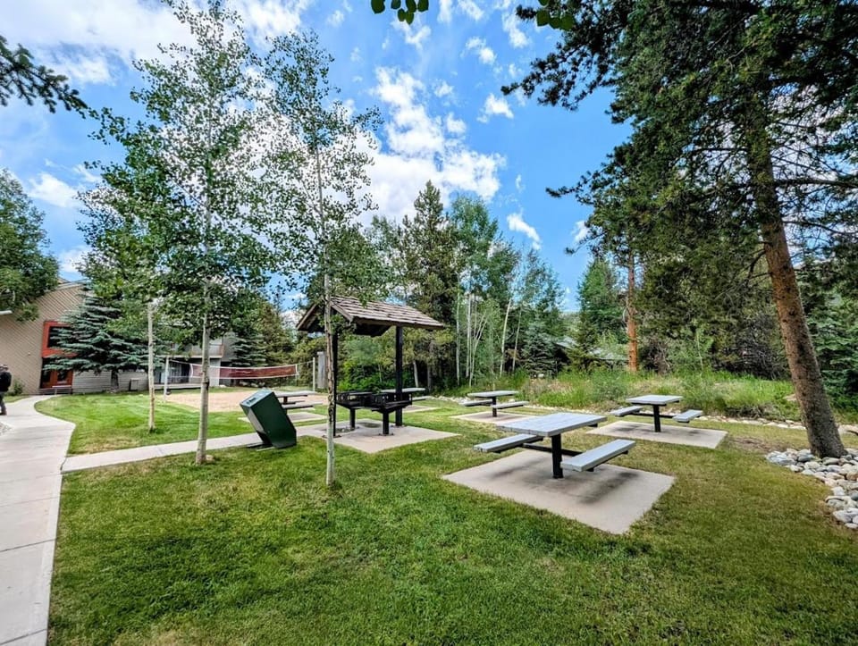 Flying Dutchman 1174 by SummitCove Lodging in Colorado House in Keystone