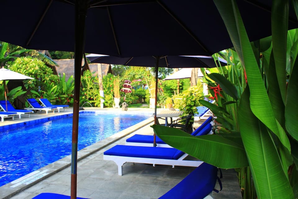 Pool view, Swimming pool