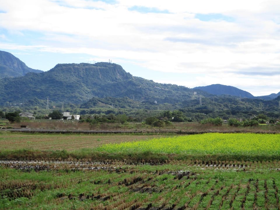 Natural landscape