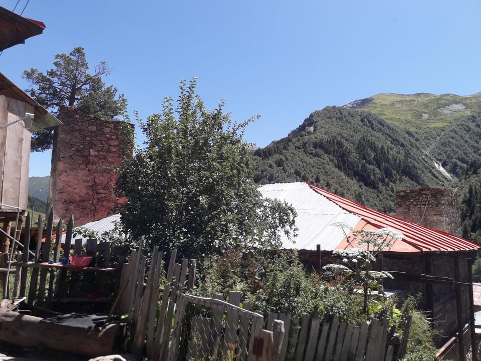 Hotel Family Bachi Bed and Breakfast in Georgia