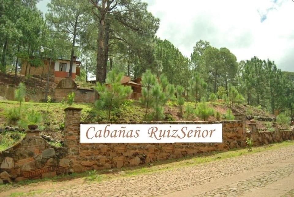 Logo/Certificate/Sign