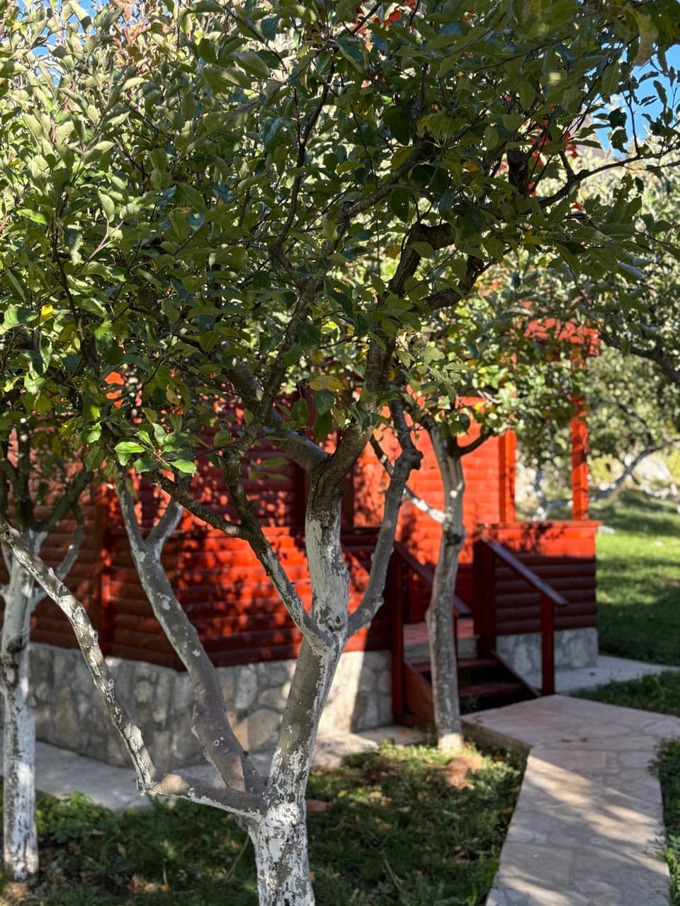 Apartmani Kod Draskovica Apartment in Montenegro