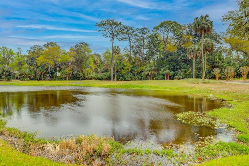 Evian 232 House in Hilton Head Island