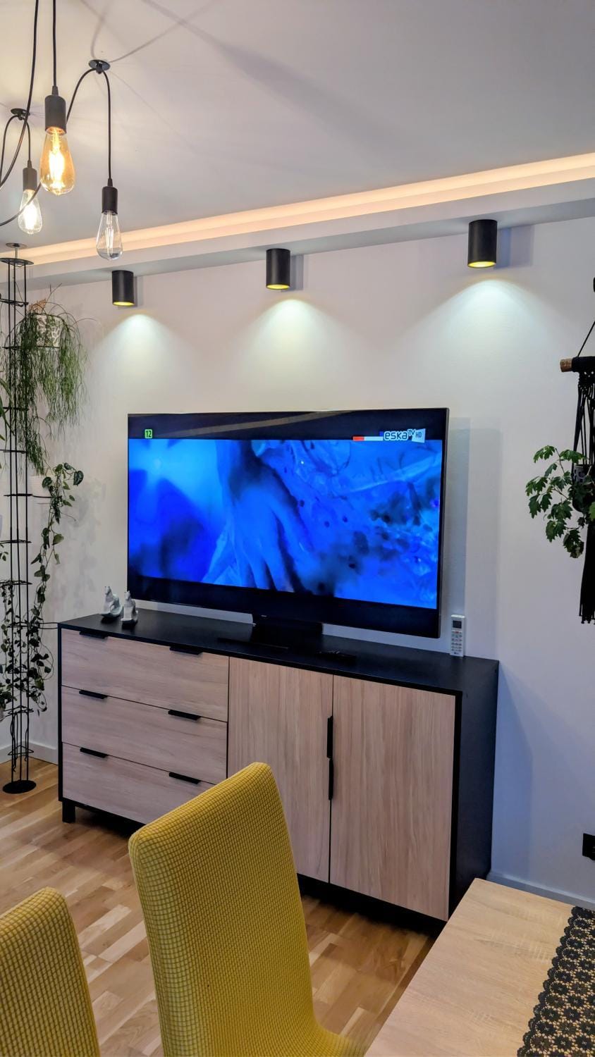 TV and multimedia