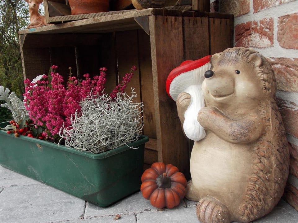 Au Monty Bed and Breakfast in Wallonia, Belgium