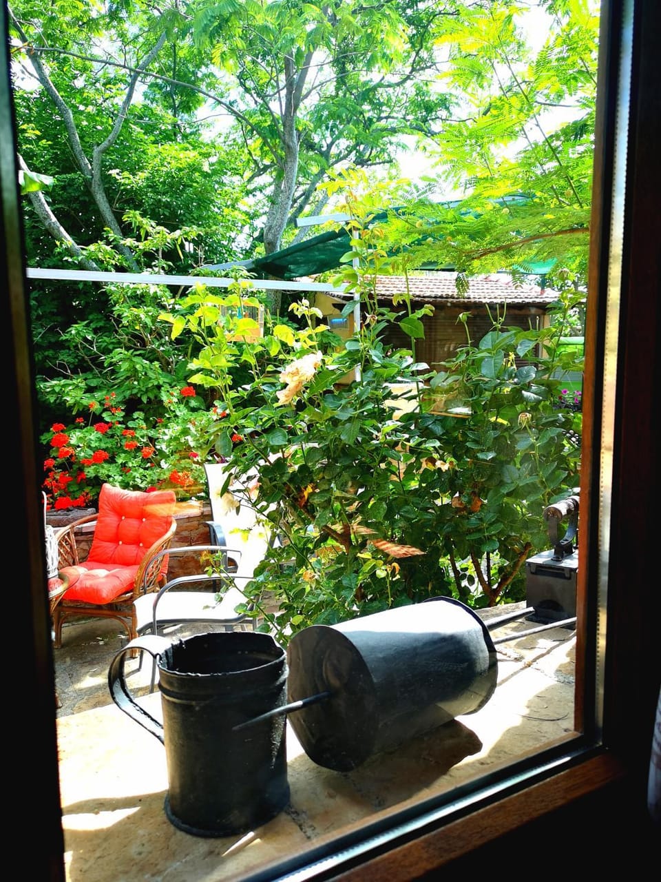 Patio, Garden view