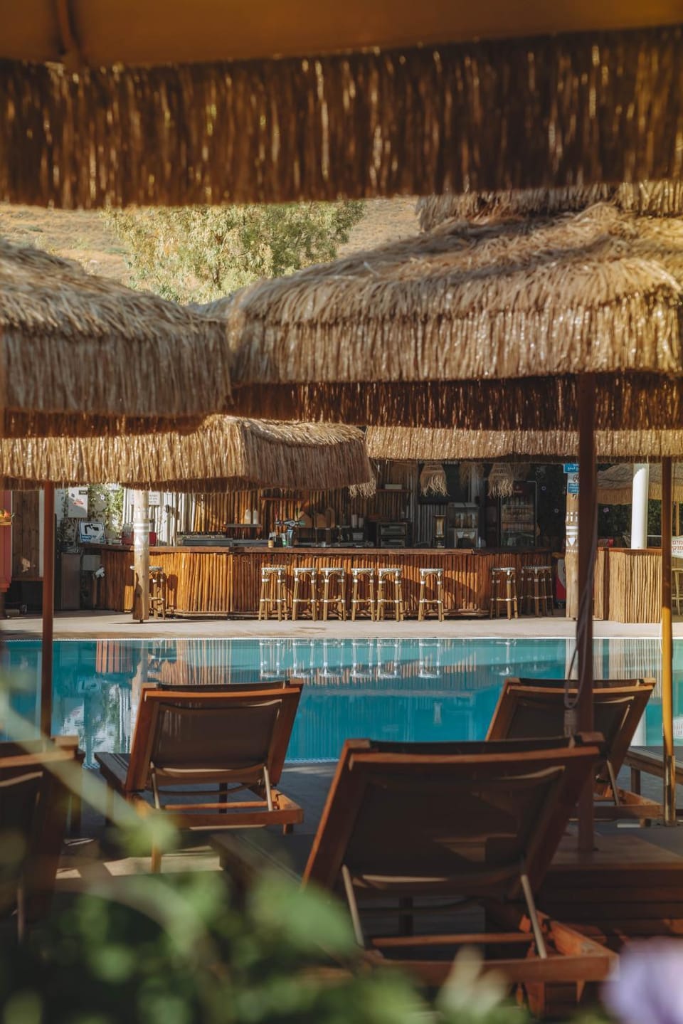 Lounge or bar, Swimming pool, sunbed