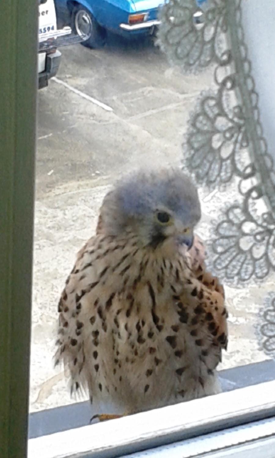 Nähkiste Bed and Breakfast in Monschau